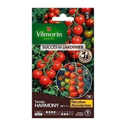 Vilmorin - Tomate Harmony