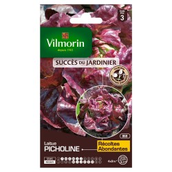 Vilmorin - Laitue Pommée Picholine - SDJ
