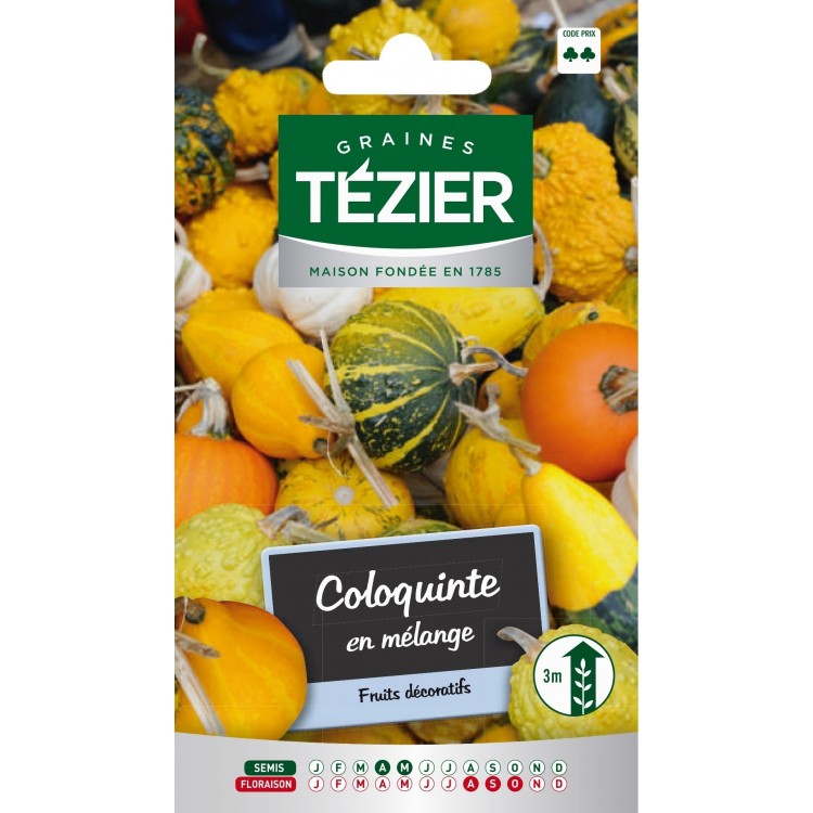 Tezier - Coloquinte en mélange -- Fleurs annuelles