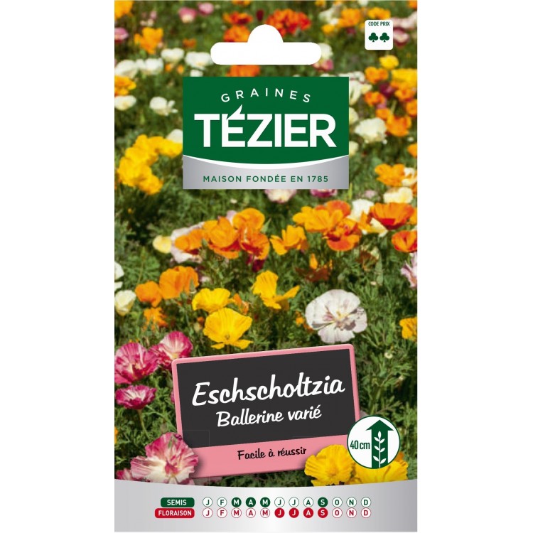 Tezier - Eschscholtzia Ballerine variée -- Fleurs annuelles