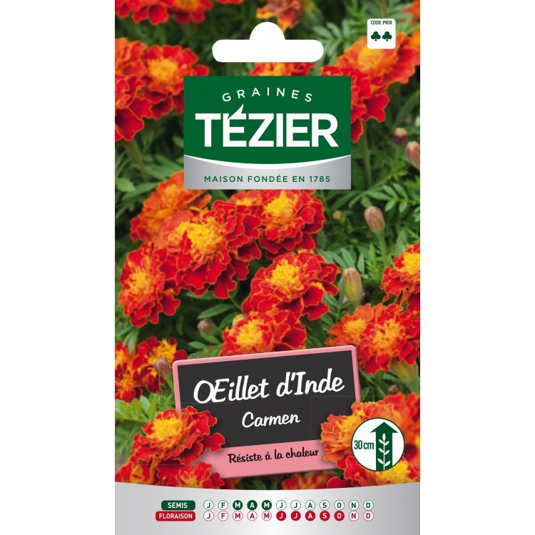 Tezier - Oeillet d'Inde Carmen -- Fleurs annuelles