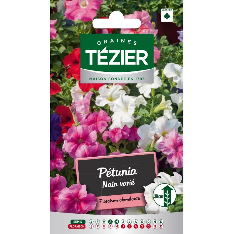 Tezier - Pétunia nain varié -- Fleurs annuelles