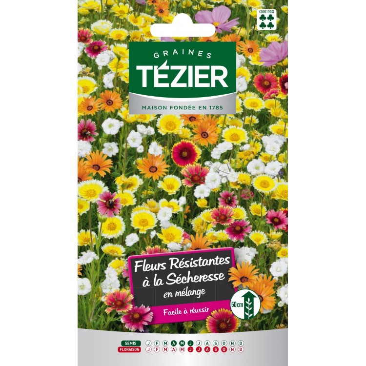 Tezier - Mélange de Fleurs résistant à la sécheresse