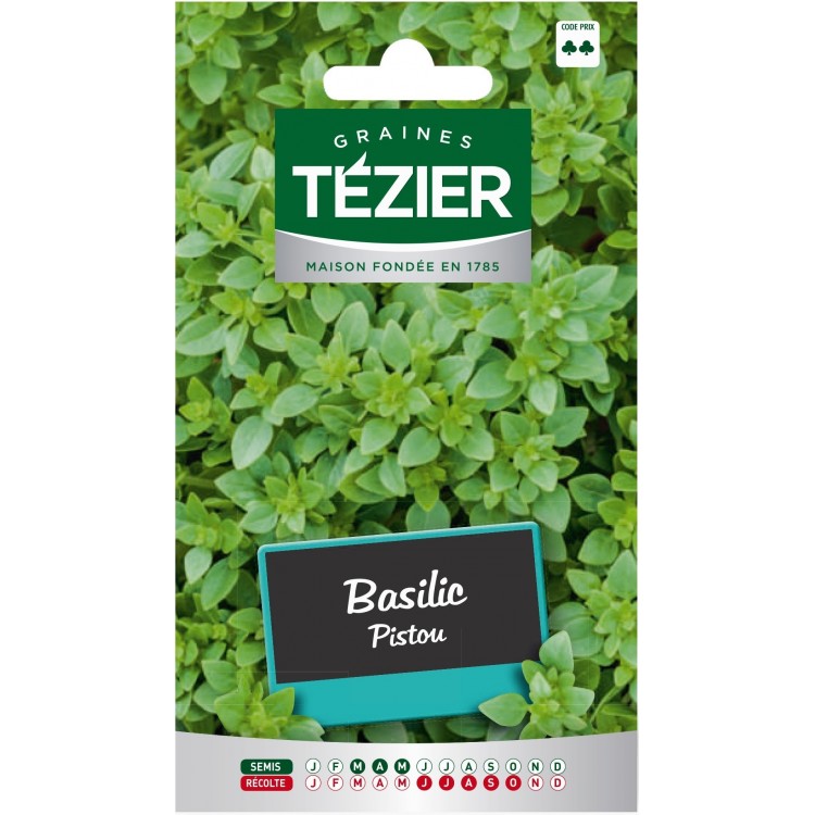 Tezier - Basilic Pistou