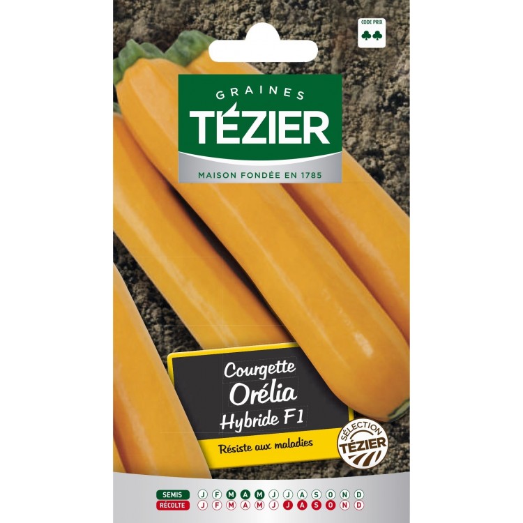 Tezier - Courgette Orelia HF1