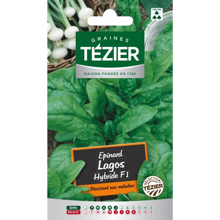 Tezier - Epinard Lagos HF1