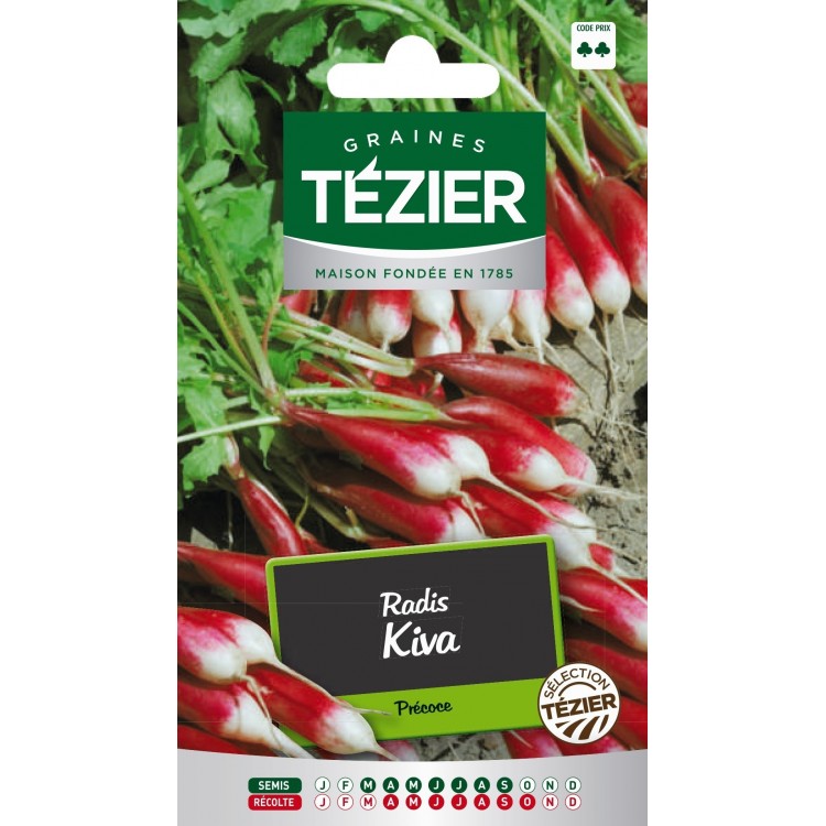 Tezier - Radis Kiva