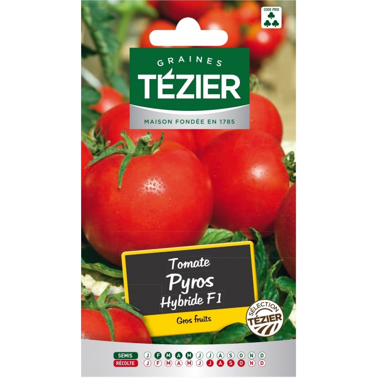 Tezier - Tomate Pyros HF1