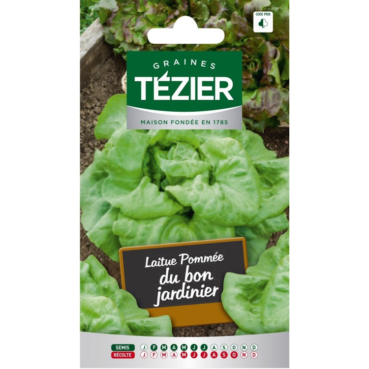Tezier - Laitue Pommée Du bon jardinier (G,B,)