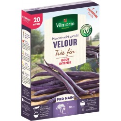Vilmorin - Velour 20M (violet) (Sélection Vilmorin - )