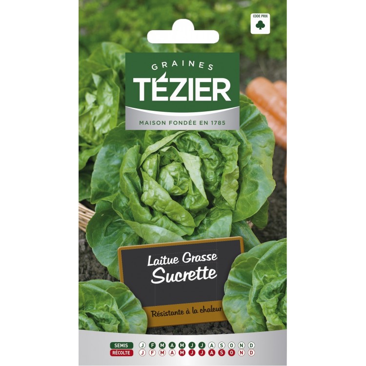 Tezier - Laitue Grasse Sucrette (remplace Sucrine)