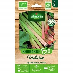 Vilmorin - Rhubarbe Victoria Bio