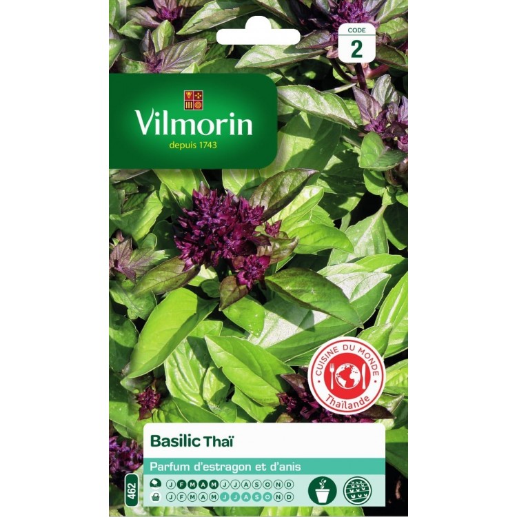 Vilmorin - Basilic Thai Vl 2 462