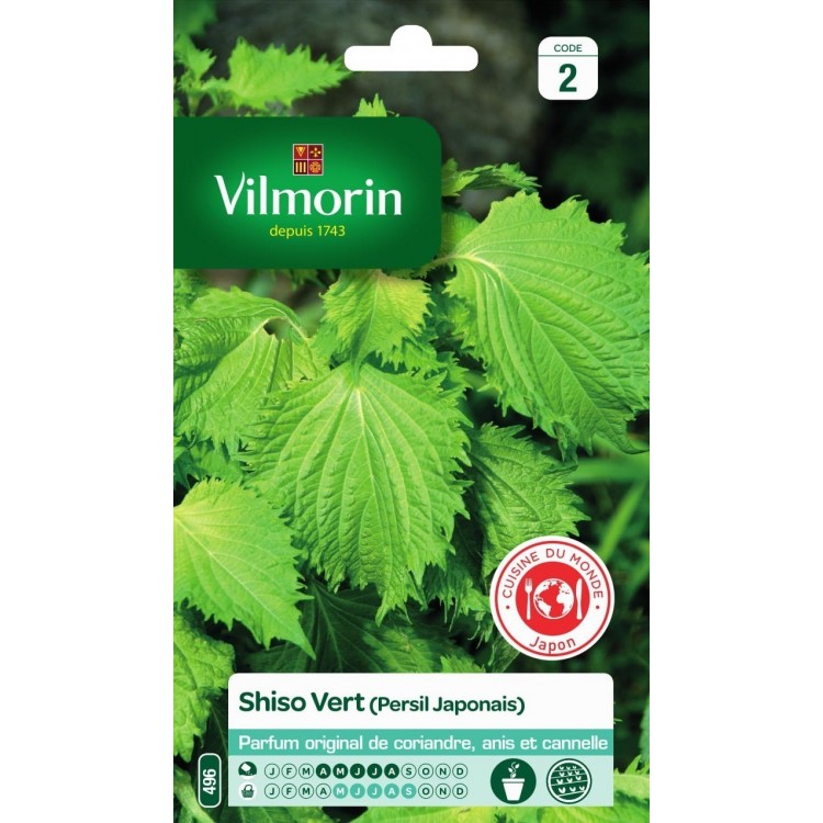 Vilmorin - Shiso Vert (persil Japonais)