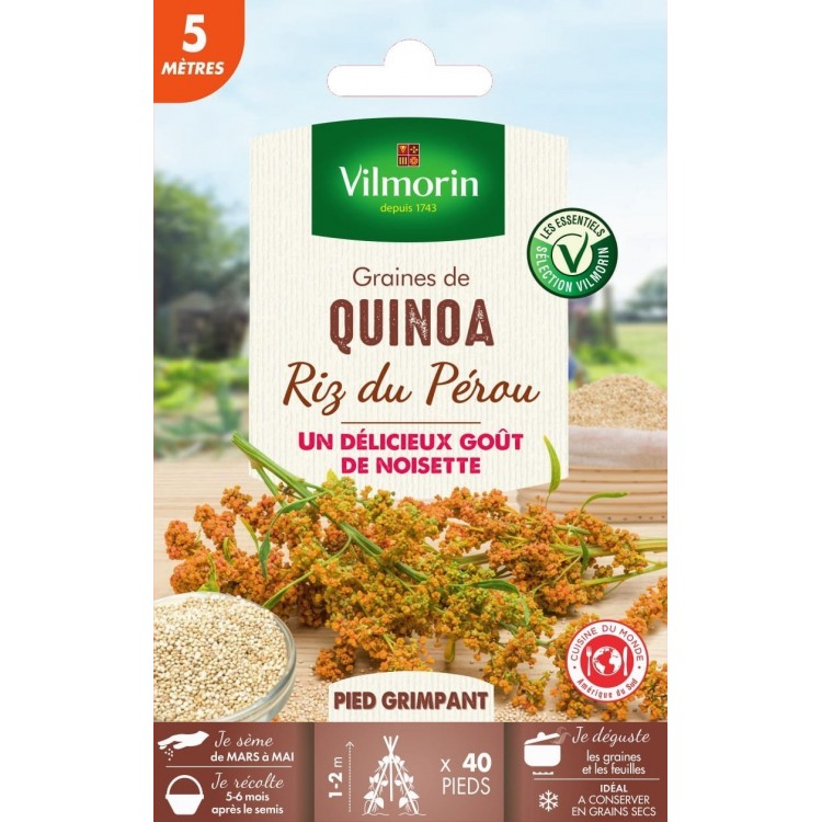 Vilmorin - Quinoa Riz du Pérou
