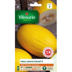 Vilmorin - Laitue Romaine Melon jaune Canari 3 - CM