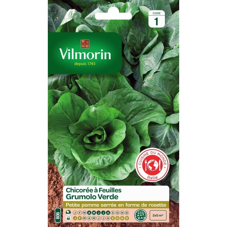 Vilmorin - Chicorée Grumolo Verde Vl1 806