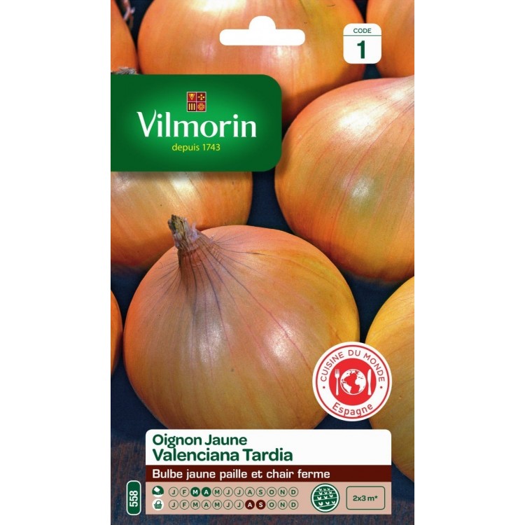 Vilmorin - Oignon jaune Valenciana Tardia (tardif) - CM