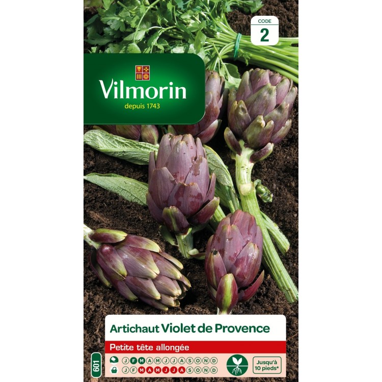 Vilmorin - Artichaut Violet De Provence