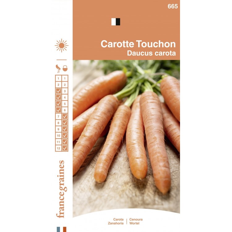 France Graines - Carotte Touchon