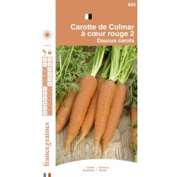France Graines - Carotte Colmar