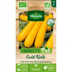 Vilmorin - Courgette Gold Rush (longue jaune) Bio