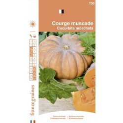 France Graines - Courge Muscade