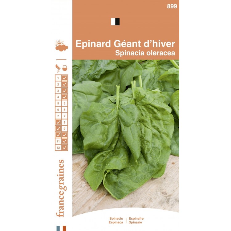 France Graines - Epinard Géant D'Hiver
