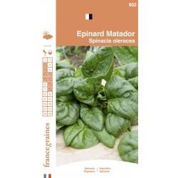 France Graines - Epinard Matador