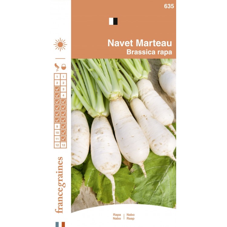 France Graines - Navet Marteau