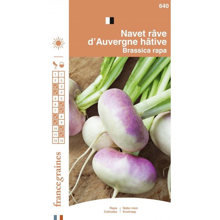 France Graines - Navet Rave Auvergne Hatif