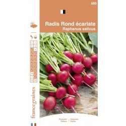 France Graines - Radis Rond Ecarlate
