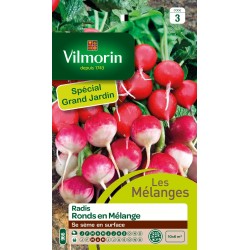 Vilmorin - Radis ronds en mélange (gaudry 3 / cherry belle)