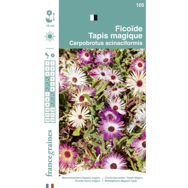 France Graines - Ficoïde Tapie Magique