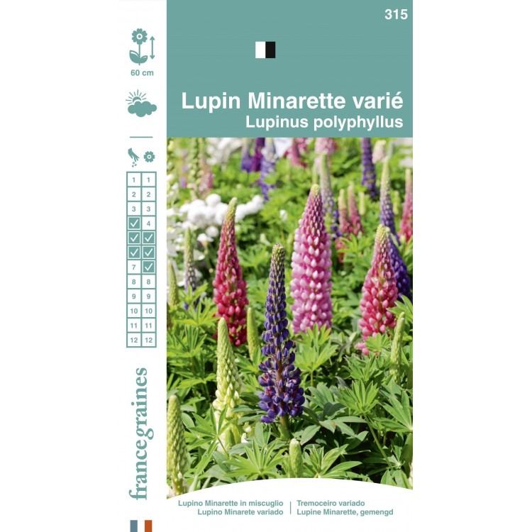 France Graines - Lupin Minarette Varié