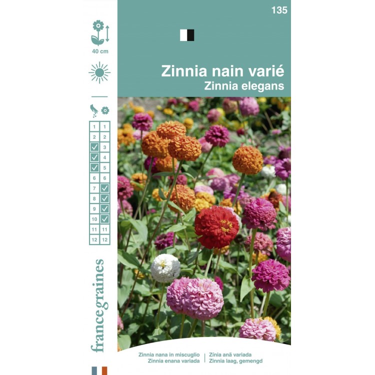 France Graines - Zinnia Nain Varié