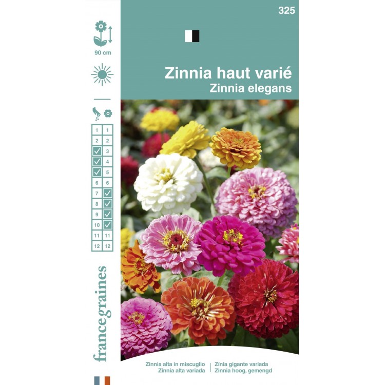 France Graines - Zinnia Haut Mix