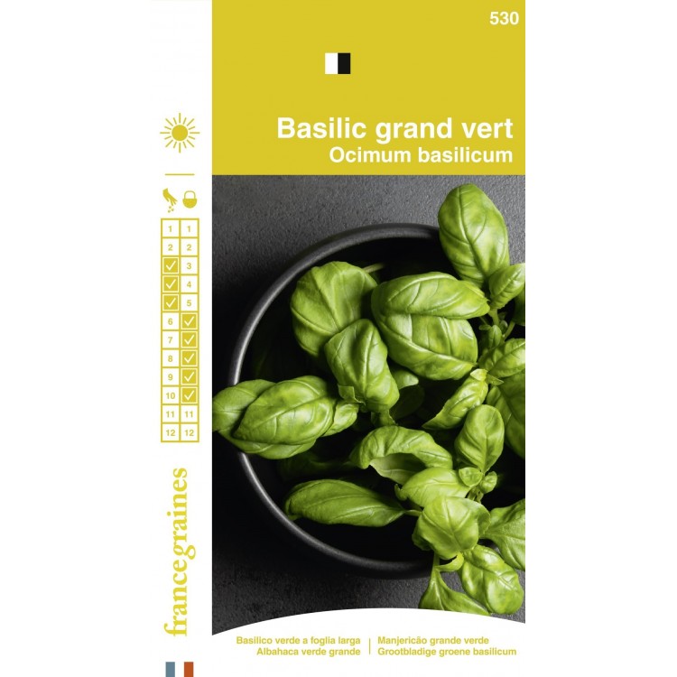 France Graines - Basilic  Grand Vert