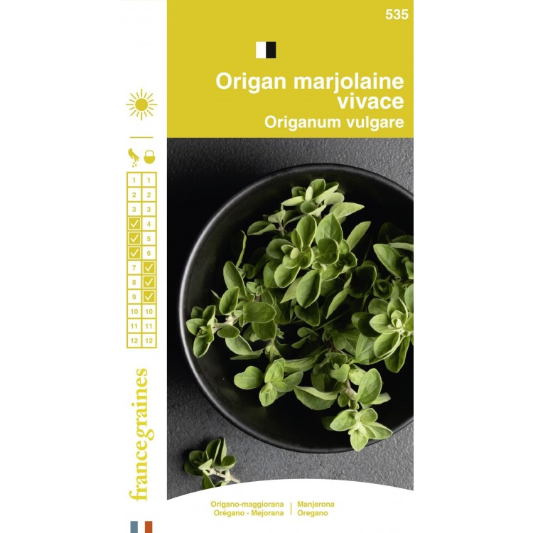 France Graines - Origan Marjolaine Vivace