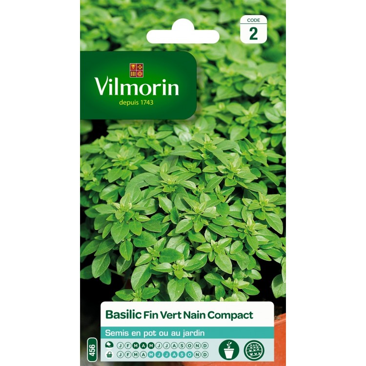 Vilmorin - Basilic Fin Vert Compact