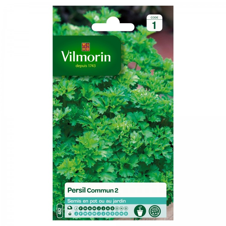 Vilmorin - Persil Commun 2 officinal