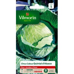 Vilmorin - Chou Quintal D Alsace