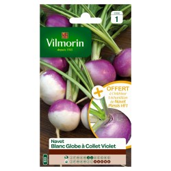 Vilmorin - Navet Blanc Globe à Collet Violet