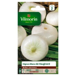 Vilmorin - Oignon blanc de Vaugirard (à épuisement)