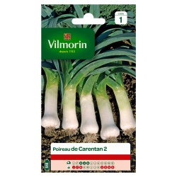 Vilmorin - Poireau Carentan 2