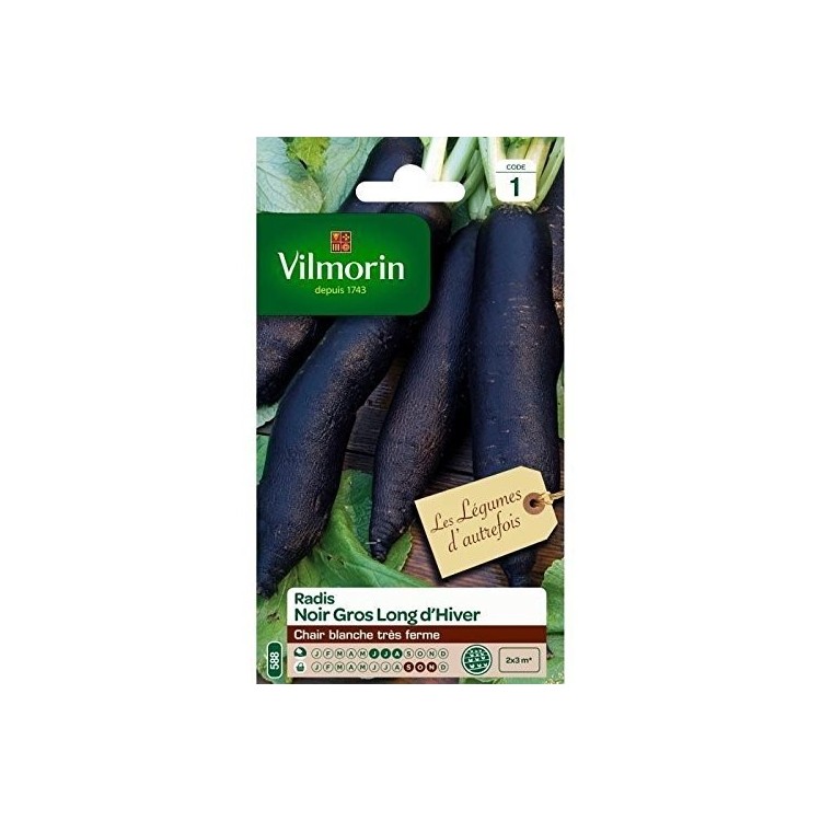 Vilmorin - Radis noir gros long d'hiver