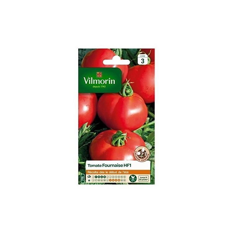Vilmorin - Tomate Fournaise HF1