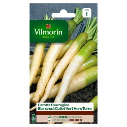 Vilmorin - Carotte fourragère blanche a collet vert hors terre