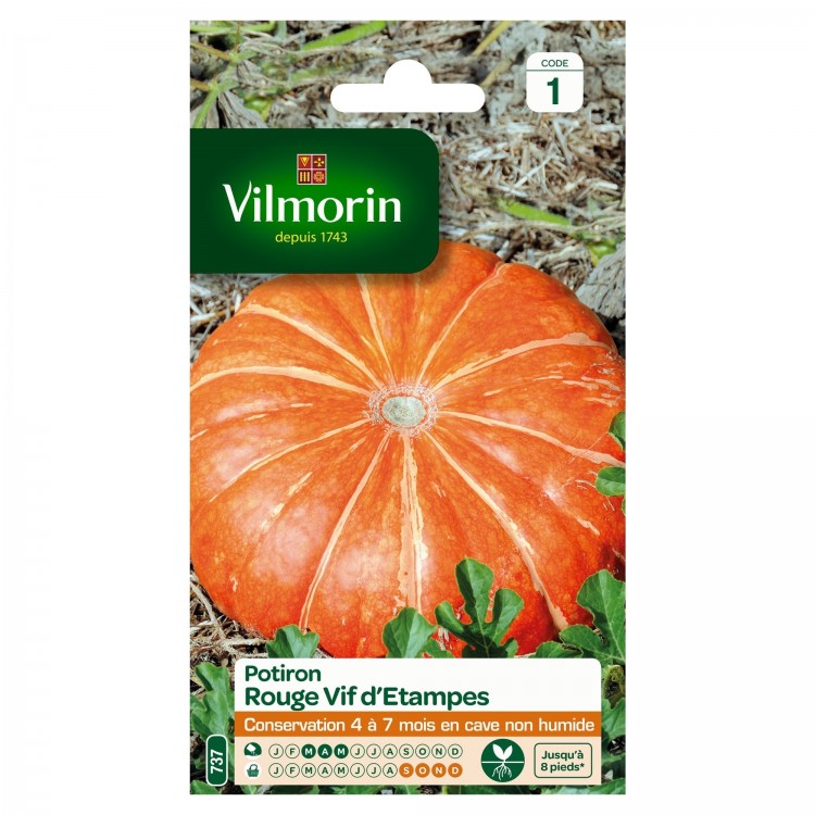 Vilmorin - Potiron Rouge Vif d'Etampes