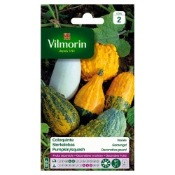 Vilmorin - Coloquinte Mix